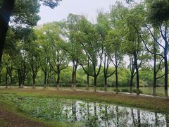 -芸海阁·农家私房菜(沙家浜景区出口店)