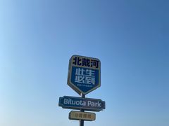 -北戴河碧螺塔海上酒吧公园