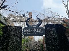 -The Grounds of Alexandria