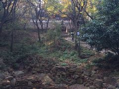 iphone_upload_pic-穹窿山景区