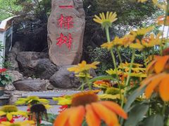 -南山植物园