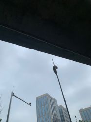 -HEYAN长风荷妍专业脱毛美肤
