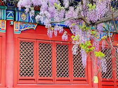 -北京国子监胡同