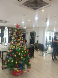 -新晨·SALON·形象造型