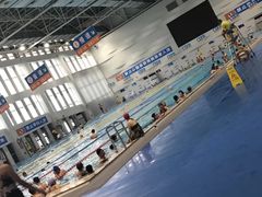-武钢体育中心恒温游泳馆