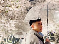 -东湖磨山景区樱花园-停车场