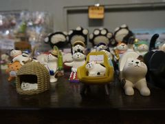 -猫咪博物馆(顶澳仔猫街店)