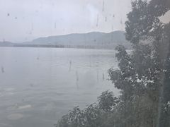 -湖畔居茶楼(湖滨店)