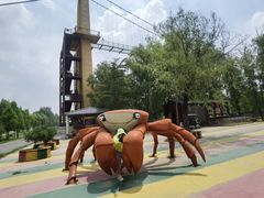 -滕州微山湖红荷湿地景区