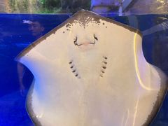 -合肥海洋世界