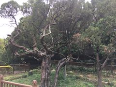 -草庵摩尼教遗址公园