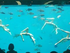 -瑞德姆美人鱼海底演艺主题餐厅(亚龙湾店)