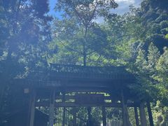 -刘伯温故里景区百丈漈