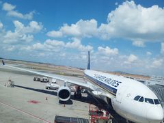 -新加坡航空公司(ION)