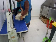 -圣宠动物医院·犬猫专科·影像中心·外科中心