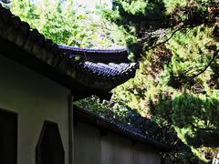 -复旦大学附属华山医院(总院)
