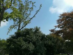 -白塘生态植物园