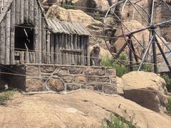 -西霞口神雕山野生动物世界