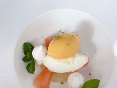 -蝶舍·MAISON PAPILLON