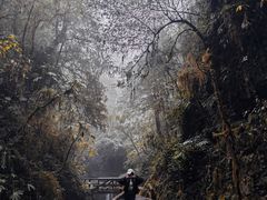 -青城山