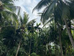 -三亚湾海居铂尔曼度假酒店