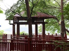 -广东花都湖国家湿地公园