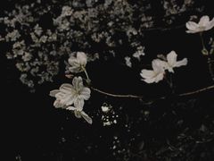 -杭州文化广播电视集团