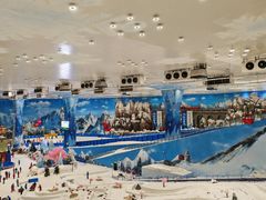 -湘江欢乐城欢乐雪域