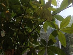 -悦享采耳·洗头头疗·推拿SPA(杭州店)