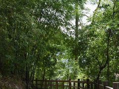 -广州市流溪河国家森林公园