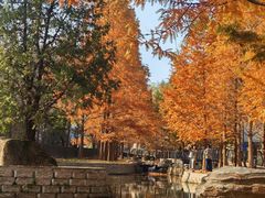 -白水寺森林公园