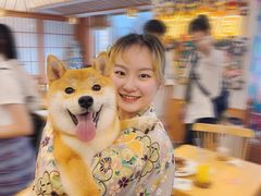 -豆柴町-柴犬主题狗咖(红鼎国际C座店)