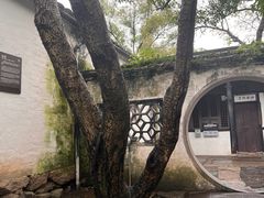 -绍兴鲁迅故里·沈园景区