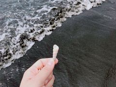 -台山黑沙湾海浴场