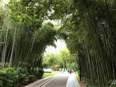 -苏州河梦清园环保主题公园