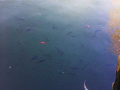 -后海公园