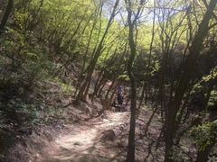 -沕沕水生态风景区