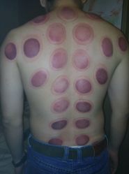 点击看大图 -拾雅丽园