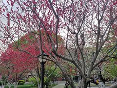 -利顺德大饭店·维多利亚花园(小白楼店)