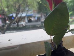 -Mark&Mars Restaurant