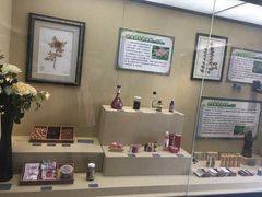 -北京植物园-展览温室