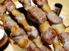 只撒盐的羊肉串-蒙料·手把肉(望京店)