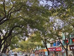 -昆山城市公园