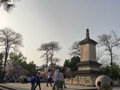 -西安青龙寺遗址景区