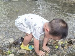 -桤木河湿地公园