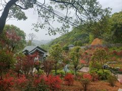 -岳麓山风景名胜区