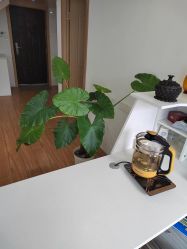 -韵绮产后修复中心(青浦宝龙广场店)