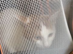 -乖乖宠物医院·猫科·骨科·24小时(云岗分院)