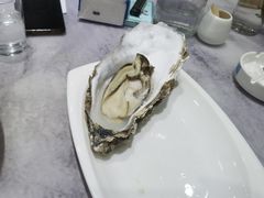 -小海丁