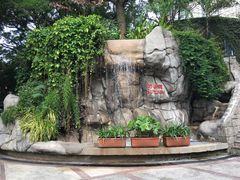 -九龙公园